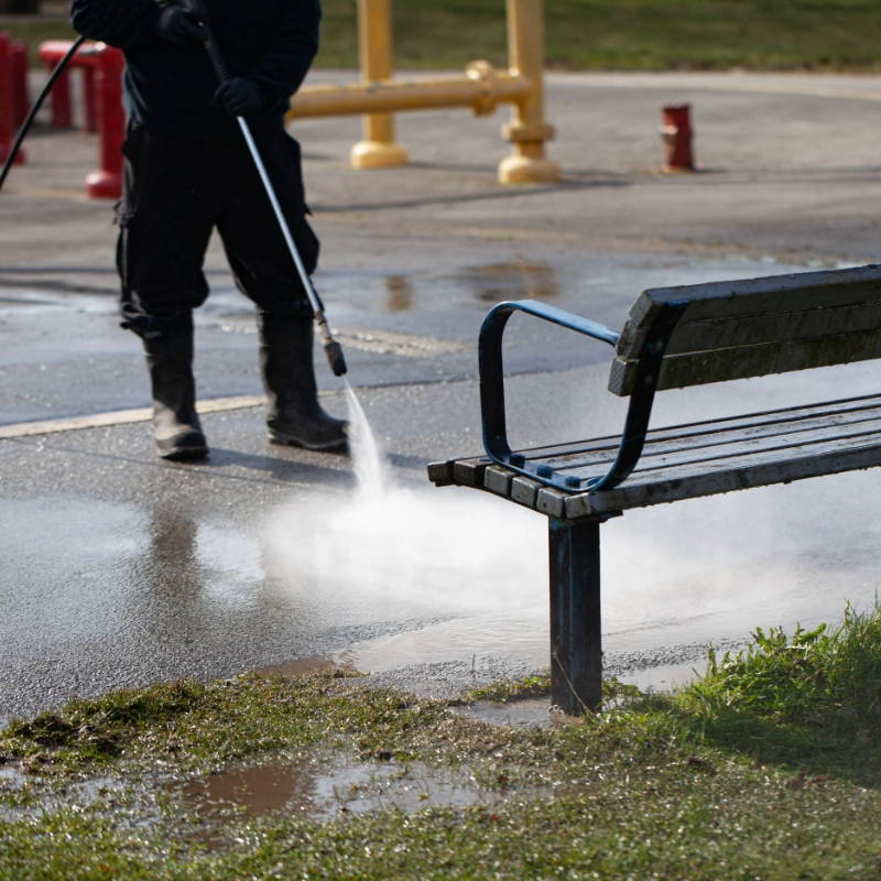 Pigeon poop cleaning